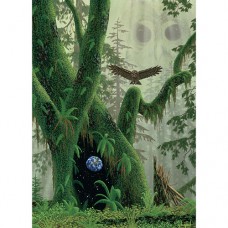 SAVE OUR PLANET Heart of the Forest